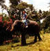 Whitman in SriLanka